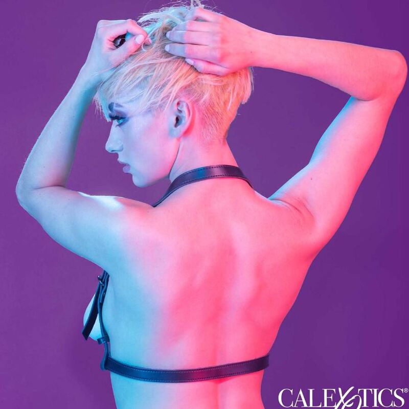 CALEXOTICS - EUPHORIA HARNAIS BOUCLE LICOL NOIR CALEXOTICS