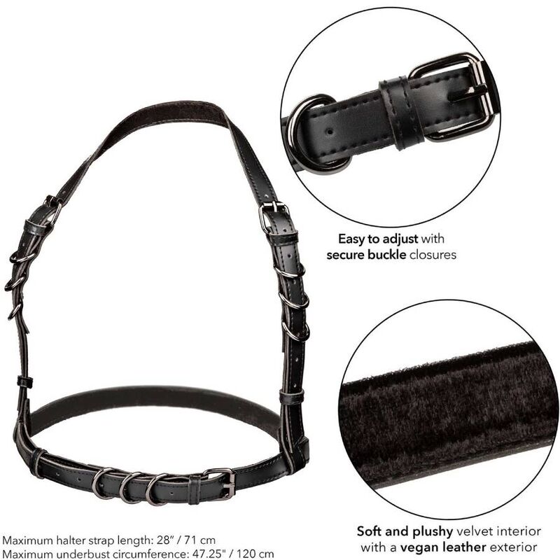 CALEXOTICS - EUPHORIA HARNAIS BOUCLE LICOL TAILLE PLUS NOIR CALEXOTICS