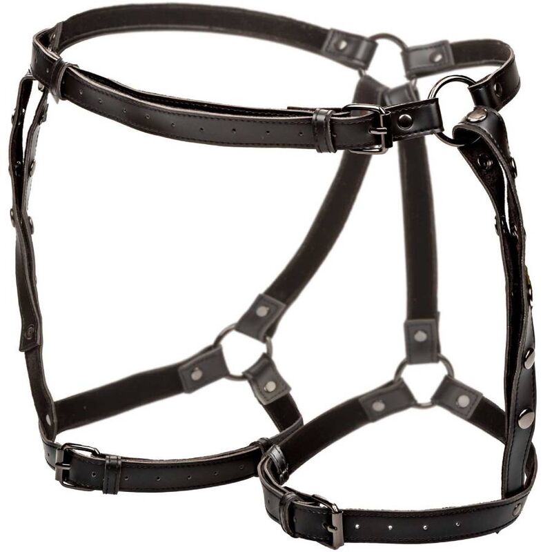 CALEXOTICS - EUPHORIA HARNAIS DE CUISSE DÉQUITATION TAILLE PLUS CALEXOTICS