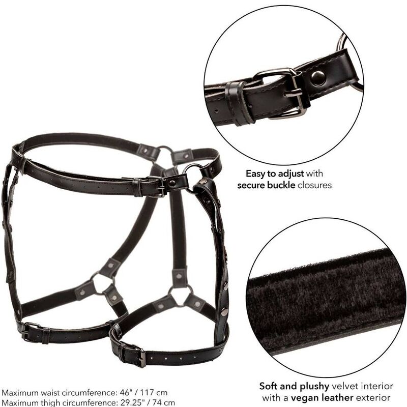 CALEXOTICS - EUPHORIA HARNAIS DE CUISSE DÉQUITATION TAILLE PLUS CALEXOTICS