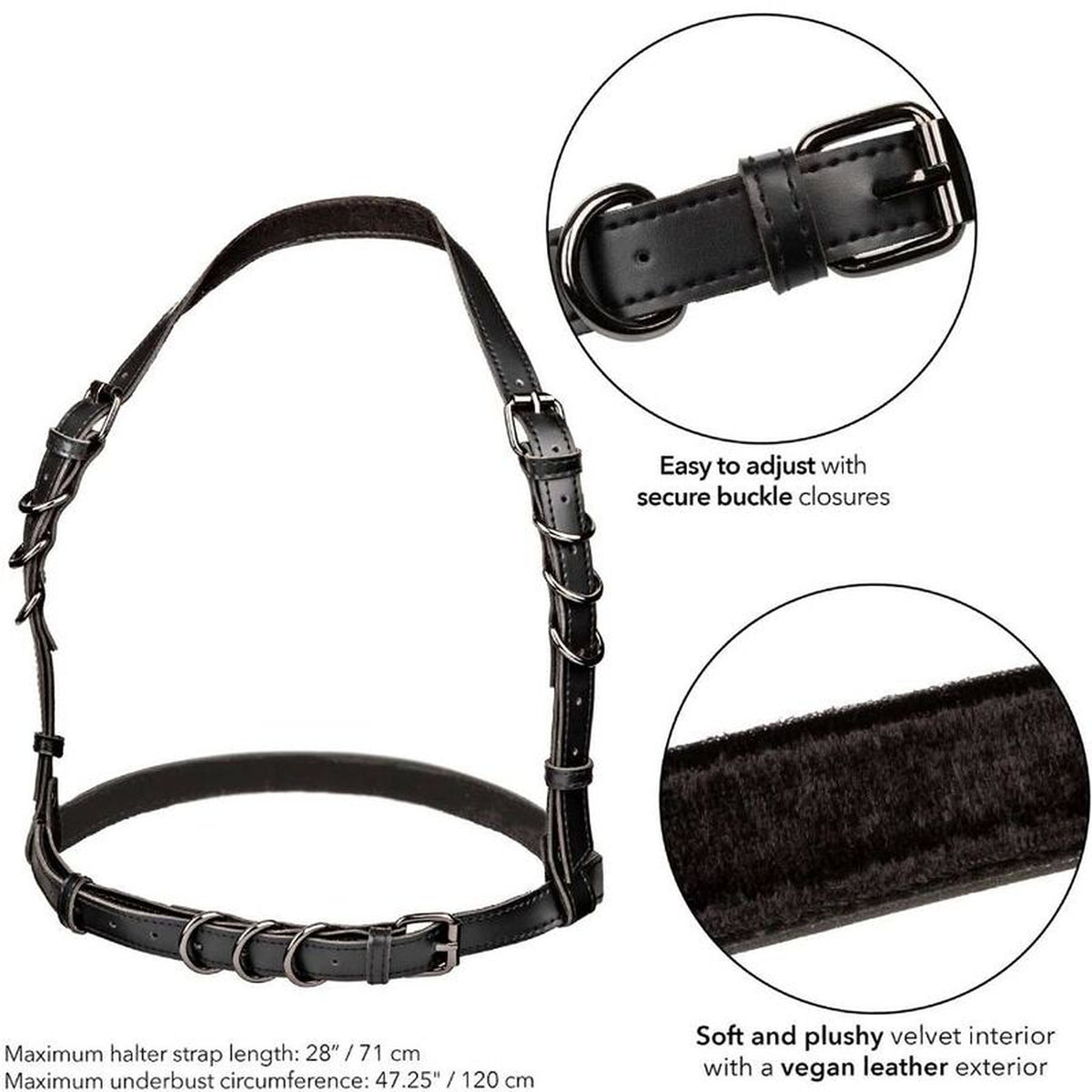 CALEXOTICS - EUPHORIA HARNAIS BOUCLE LICOL TAILLE PLUS NOIR CALEXOTICS