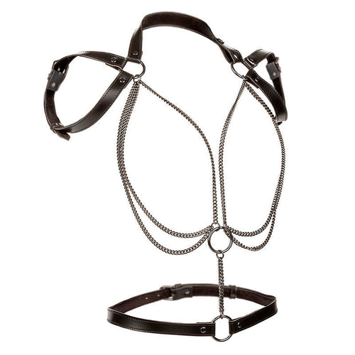 CALEXOTICS - EUPHORIA HARNAIS LICOL MULTICHAÎNES PREMIUM CALEXOTICS