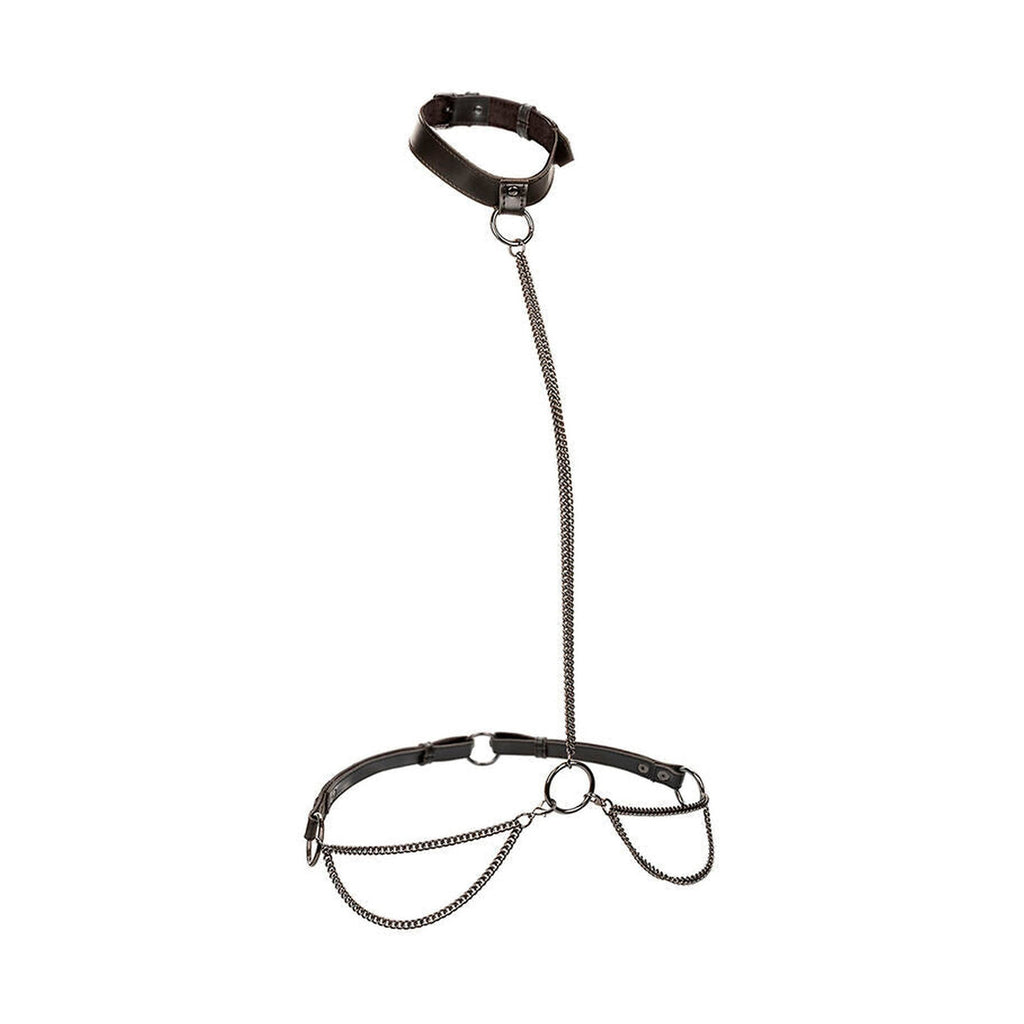 CalExotics Euphoria - Collier et laisse transformable, grande taille