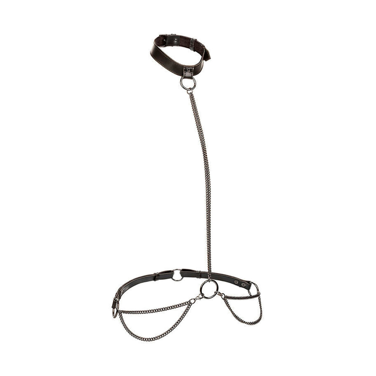 CalExotics Euphoria - Collier et laisse transformable, grande taille