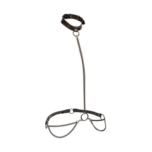 CalExotics Euphoria - Collier et laisse transformable, grande taille