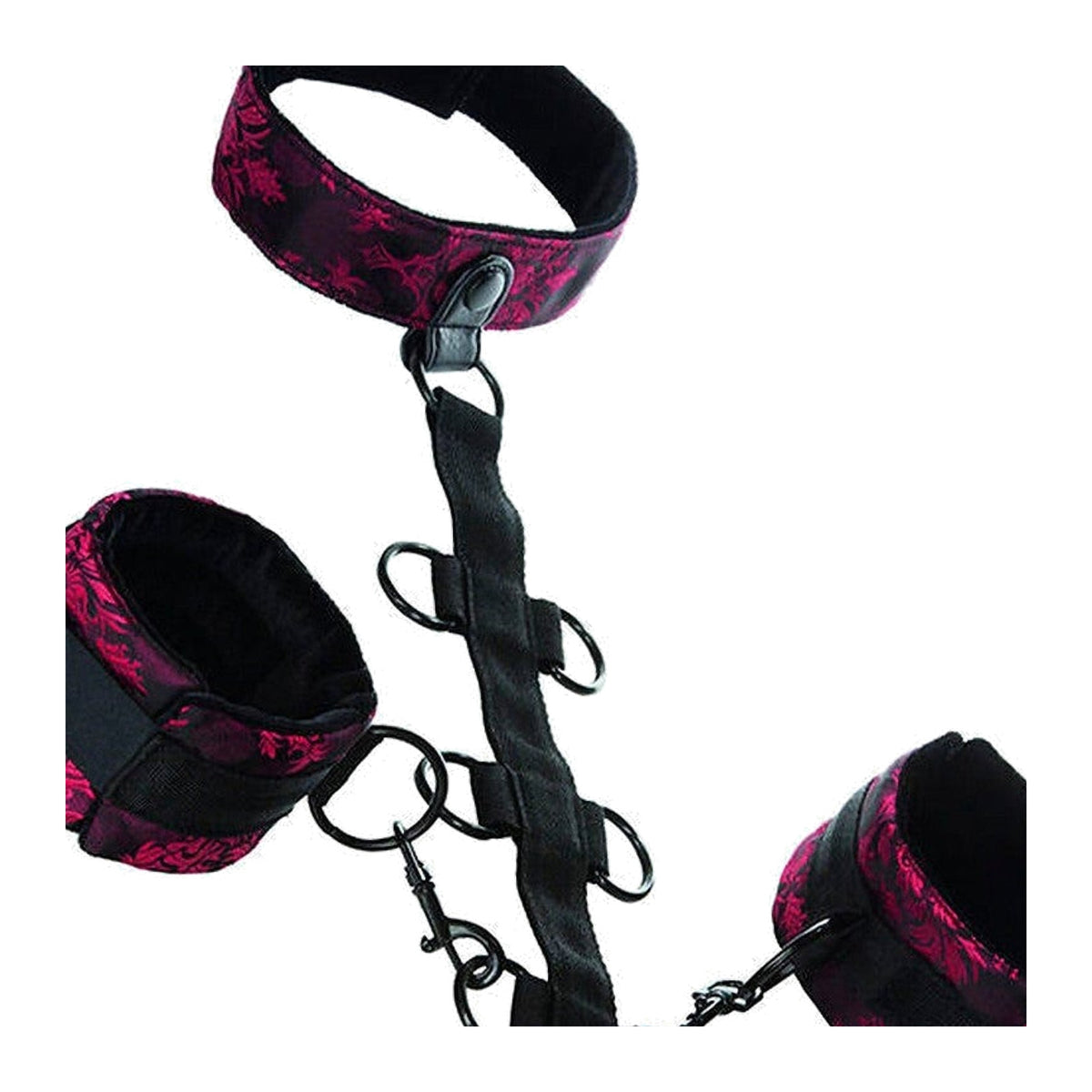 CalExotics Scandal - Collier de retenue, trois niveaux – détail réel 1