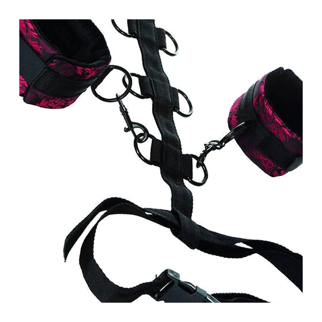 CalExotics Scandal - Collier de retenue, trois niveaux – détail réel 2