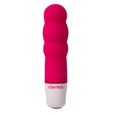 CONTROL - MINI STIMULATEUR SECRET VELOURS CONTROL TOYS