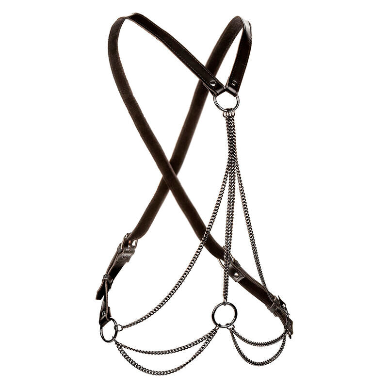 CALEXOTICS - EUPHORIA HARNAIS MULTICHAÎNE PREMIUM GRANDE TAILLE CALEXOTICS