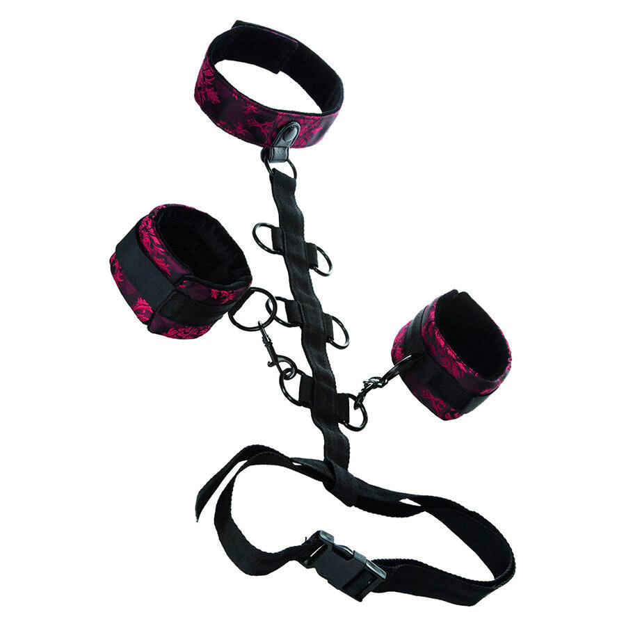CALEXOTICS - SCANDAL SUPPORT COMPORAL  AVEC COU CALEXOTICS