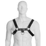 LEATHER BODY - HARNAIS  CHAÎNE III