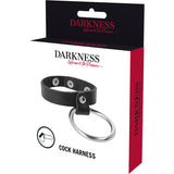 DARKNESS - ANNEAU MÉTALLIQUE POUR LE PÉNIS ET LES TESTICULES DARKNESS BONDAGE